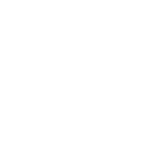 Skyetastic